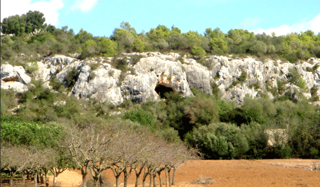 Img.1a.gif: Cueva vecina a Ca'n Colom
